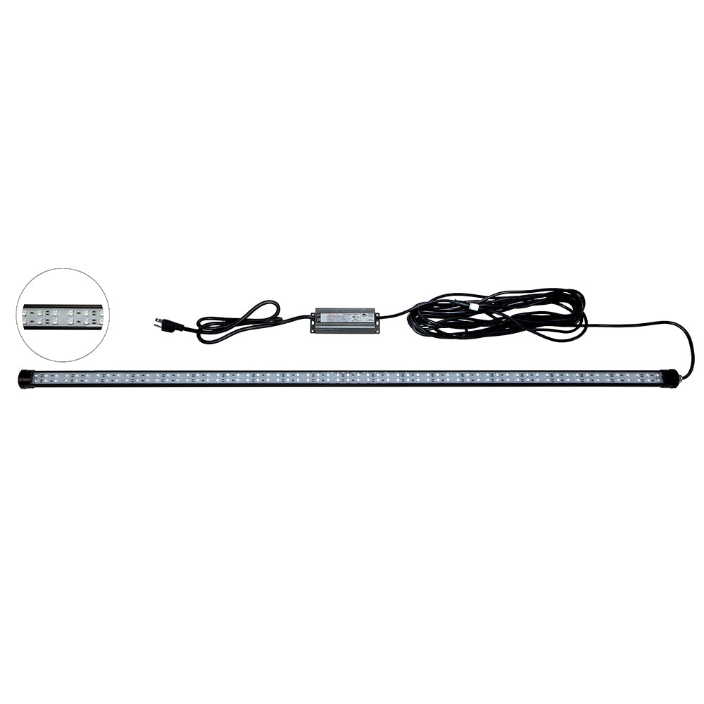 Hydro Glow 4' LED DockMaster 2000K Amber LED 120V