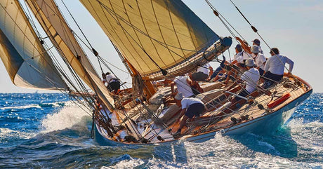 Types of Sailors | Life of Sailing